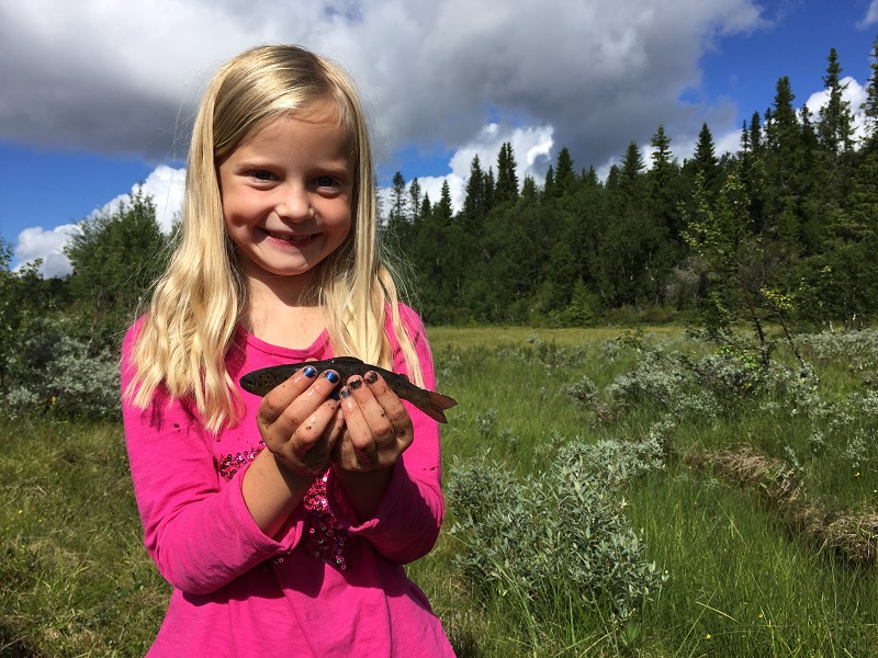 Lilly Olofsson oring...